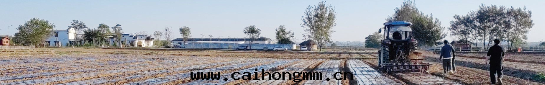 農商學(xué)院(yuàn)图(tú)片(piàn)