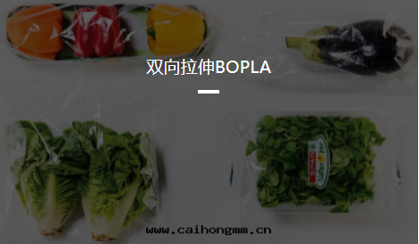 双(shuāng)向(xiàng)拉伸BOPLA